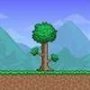 terraria.jpg