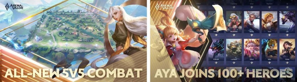 .arena of valor