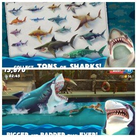 Hungry Shark game