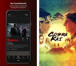 netflix-premium-apk.jpg