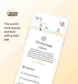 the wonder weeks apk